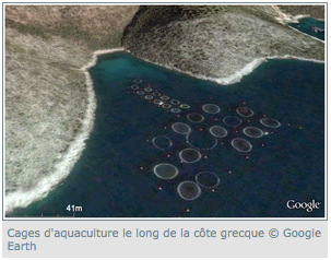 aquaculture-google-earth